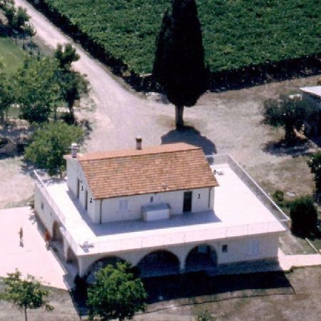 Agriturismo Torre Mannella - La Loggia Citta Sant'Angelo Bagian luar foto