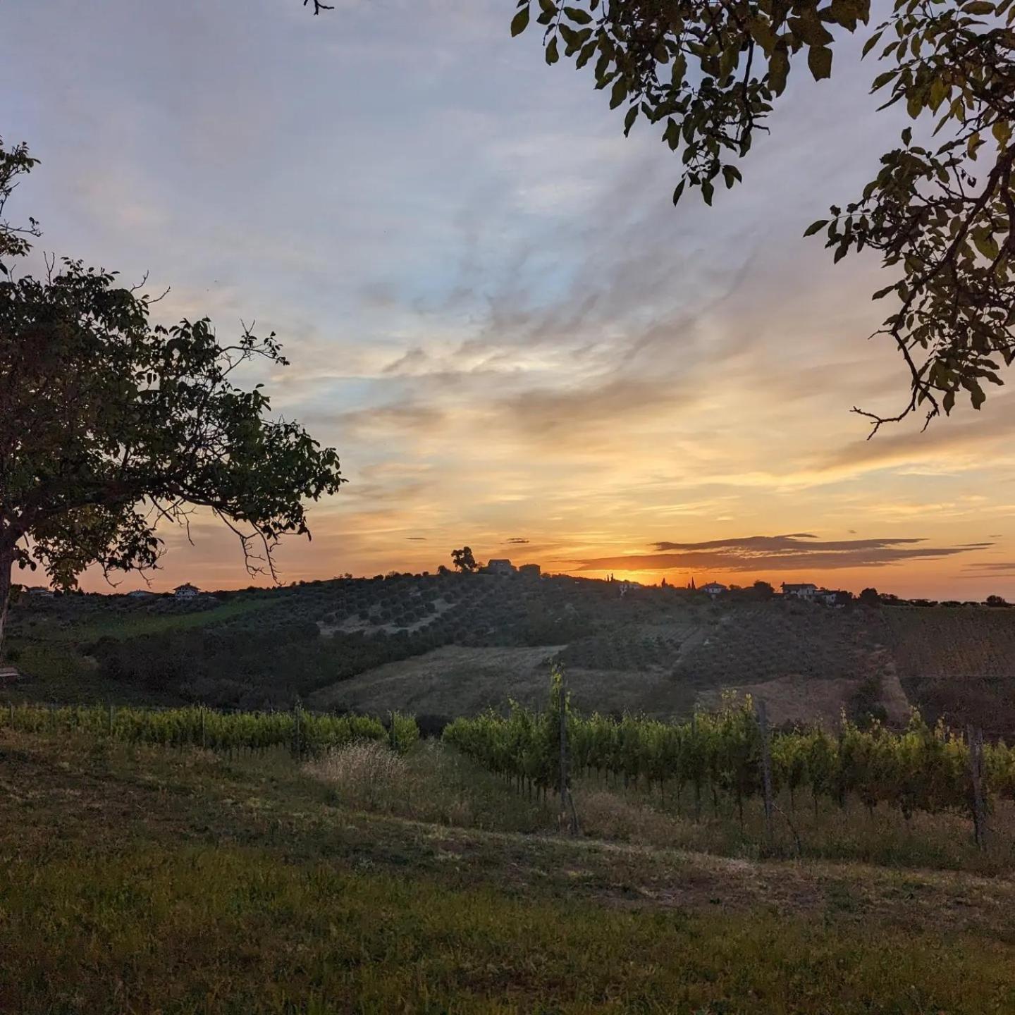 Agriturismo Torre Mannella - La Loggia Citta Sant'Angelo Bagian luar foto